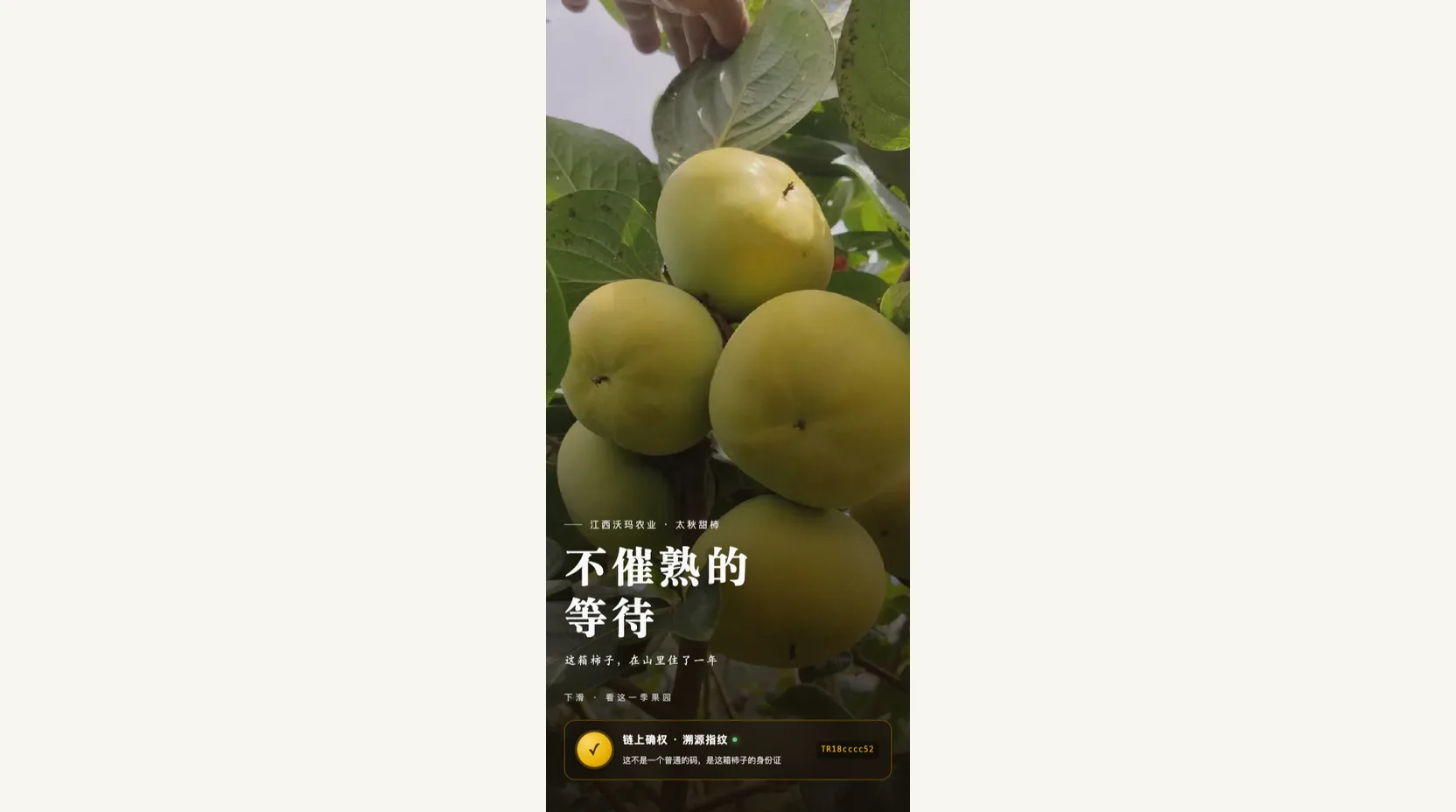 农产品一物一码产地溯源
