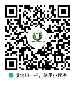 太秋甜柿商城小程序（C 端）二维码